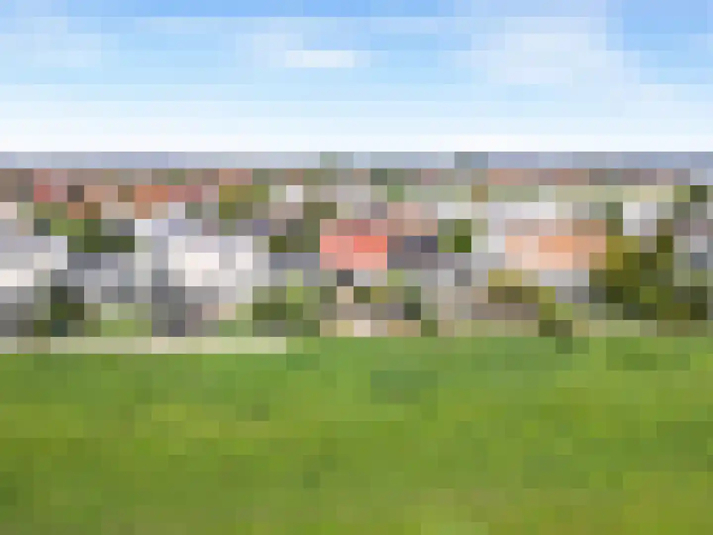 Blauwe Reiger 38 Lathum thumbnail 34