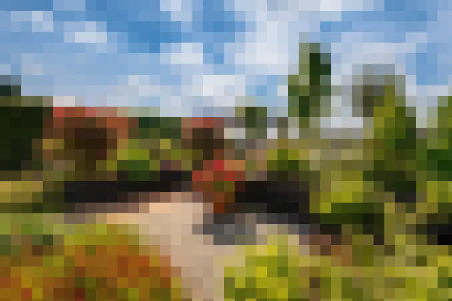 Blauwe Reiger 38 Lathum thumbnail 35