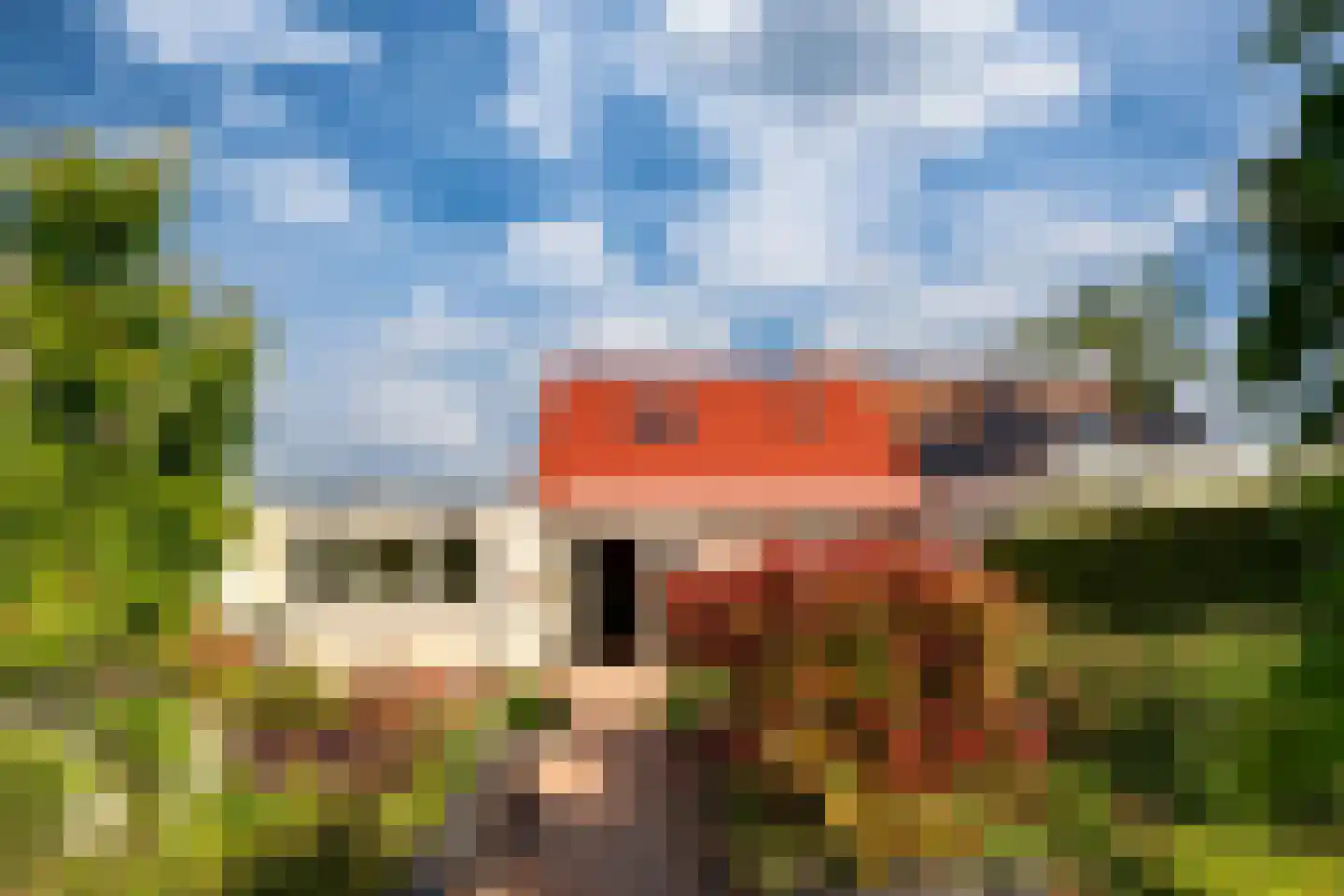 Blauwe Reiger 38 Lathum thumbnail 36