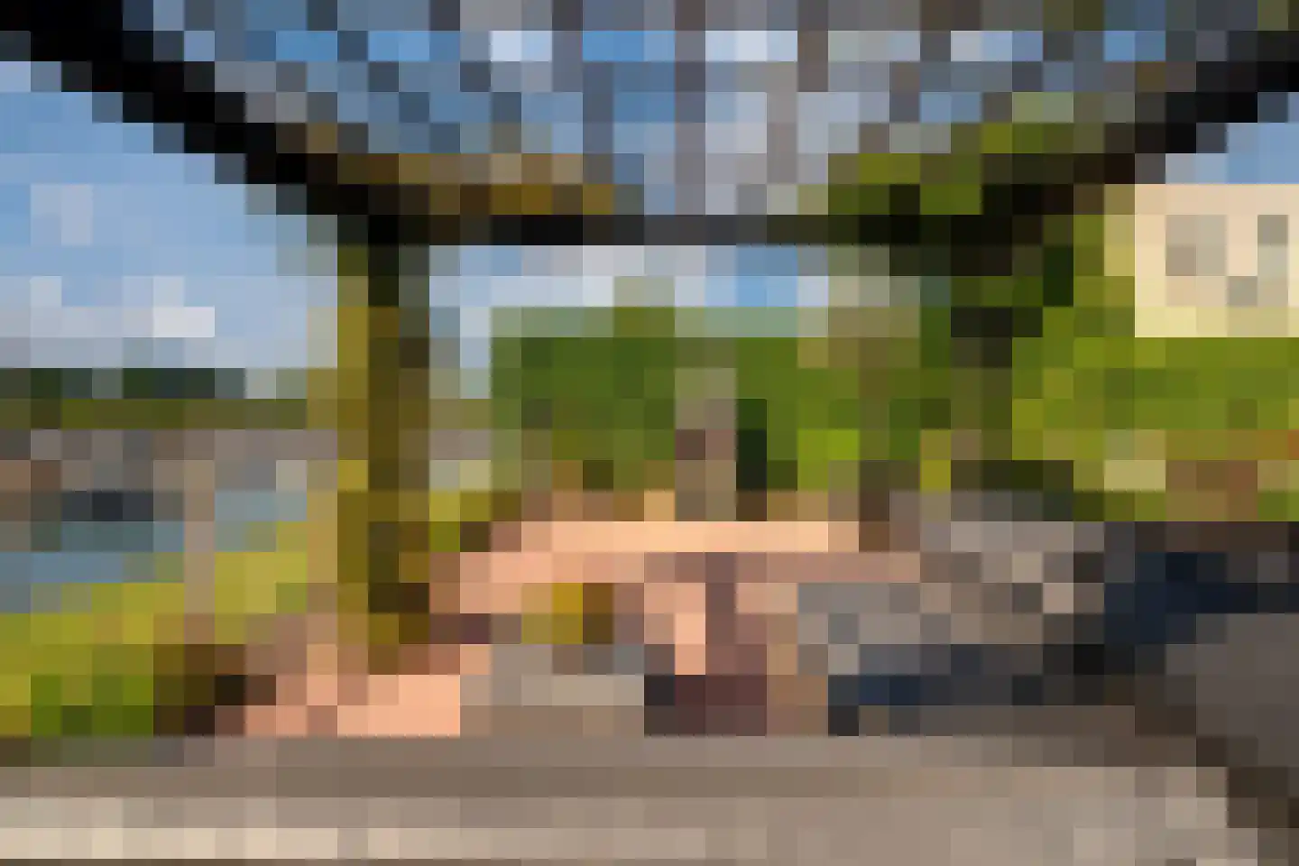 Blauwe Reiger 38 Lathum thumbnail 37