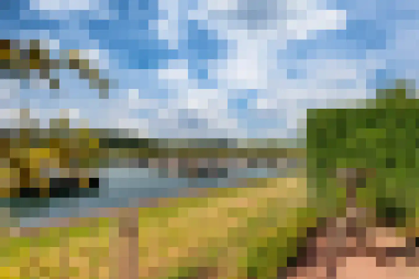 Blauwe Reiger 38 Lathum thumbnail 38