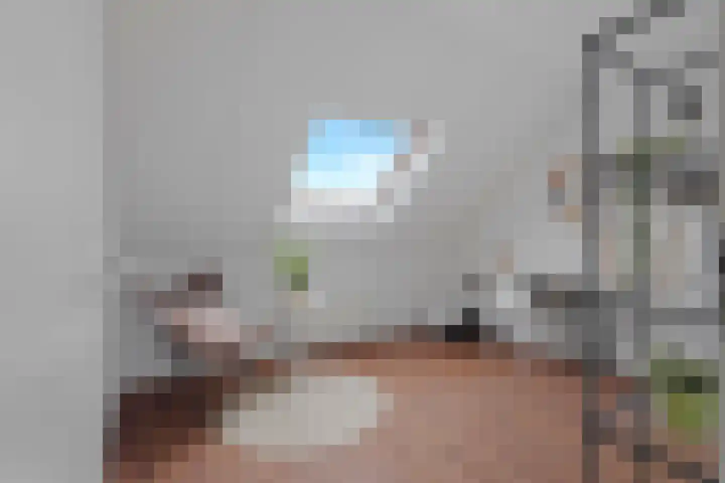 Blauwe Reiger 38 Lathum thumbnail 39
