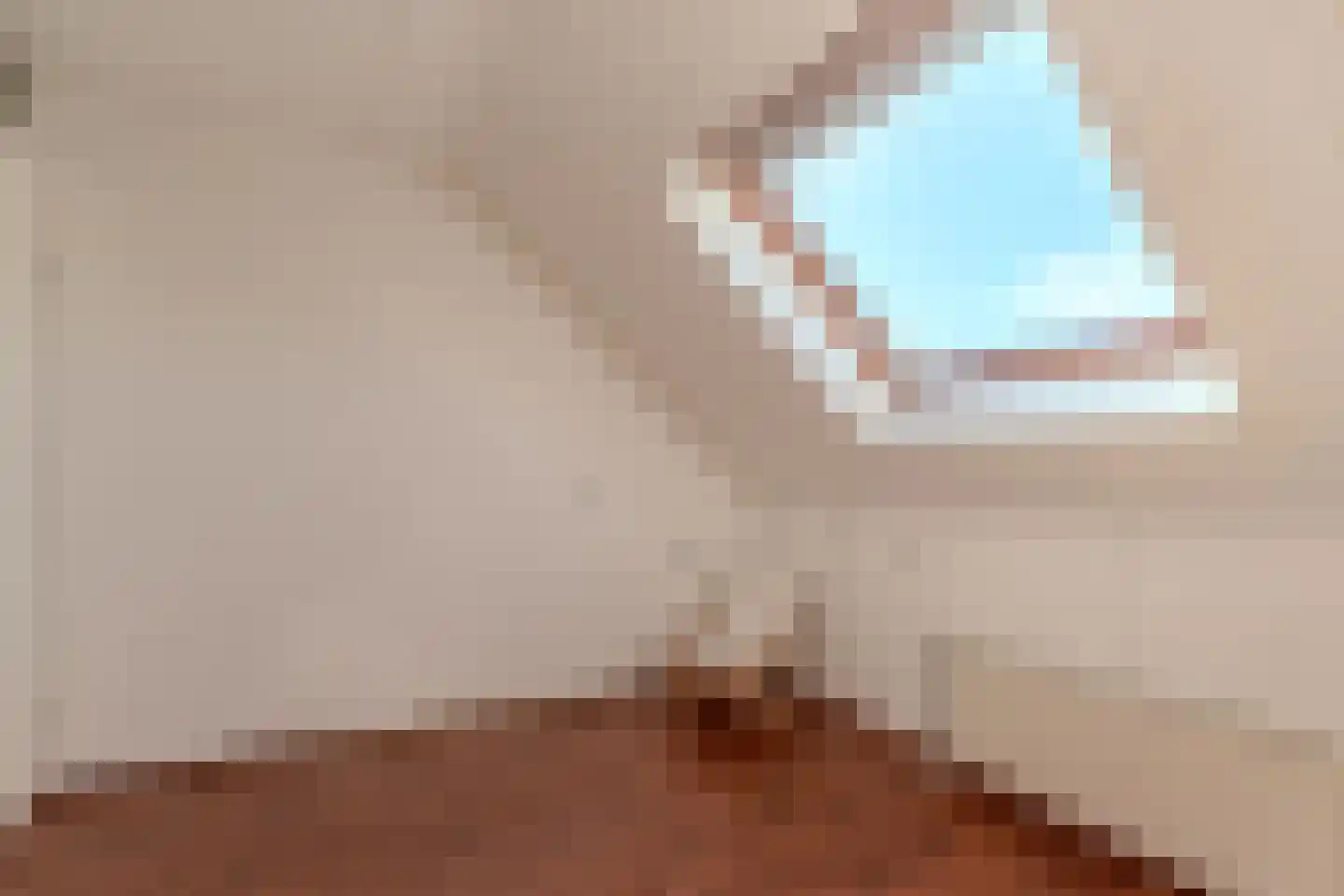 Blauwe Reiger 38 Lathum thumbnail 49
