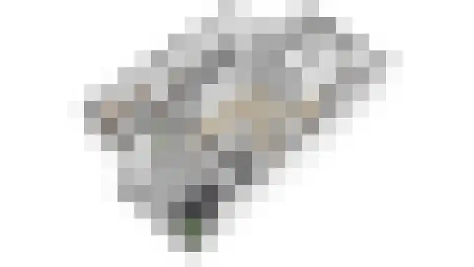 Blauwe Reiger 38 Lathum thumbnail 51