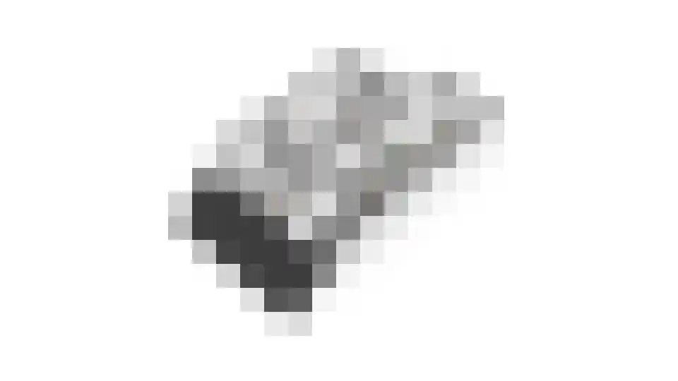 Blauwe Reiger 38 Lathum thumbnail 53