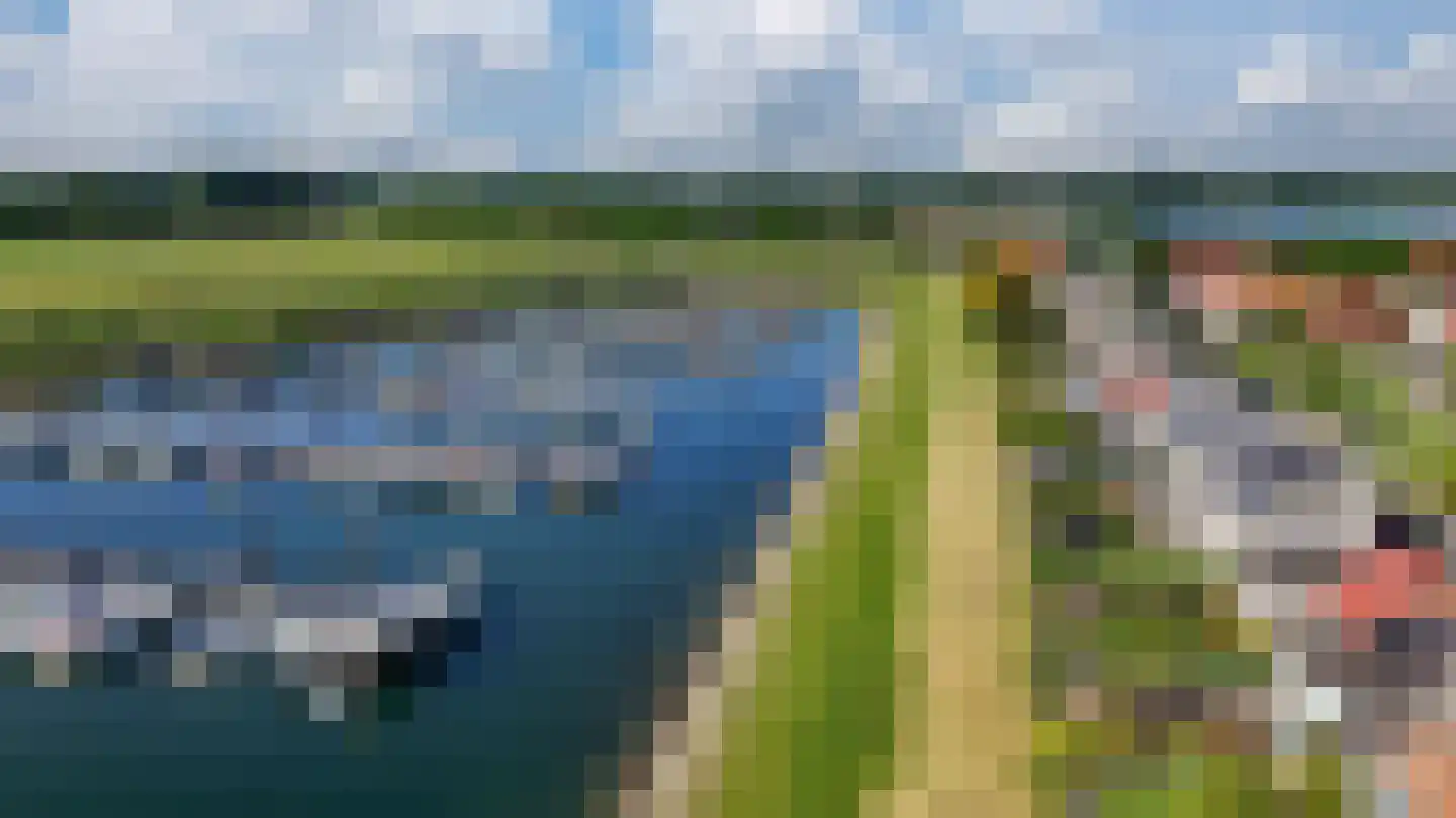 Blauwe Reiger 38 Lathum thumbnail 6
