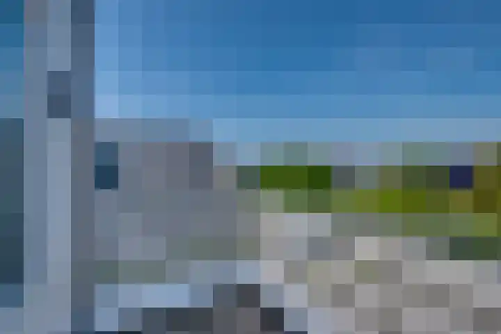 Blauwe Reiger 42 Lathum thumbnail 17