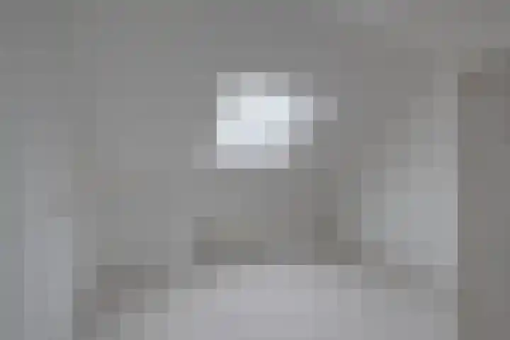 Blauwe Reiger 42 Lathum thumbnail 19