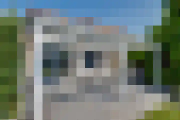 Blauwe Reiger 42 Lathum thumbnail 24