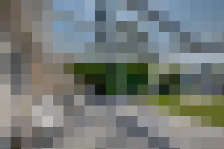 Blauwe Reiger 42 Lathum thumbnail 26