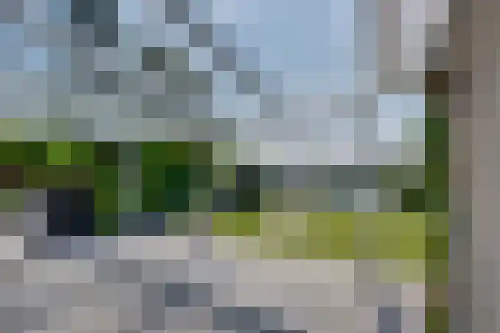 Blauwe Reiger 42 Lathum thumbnail 27