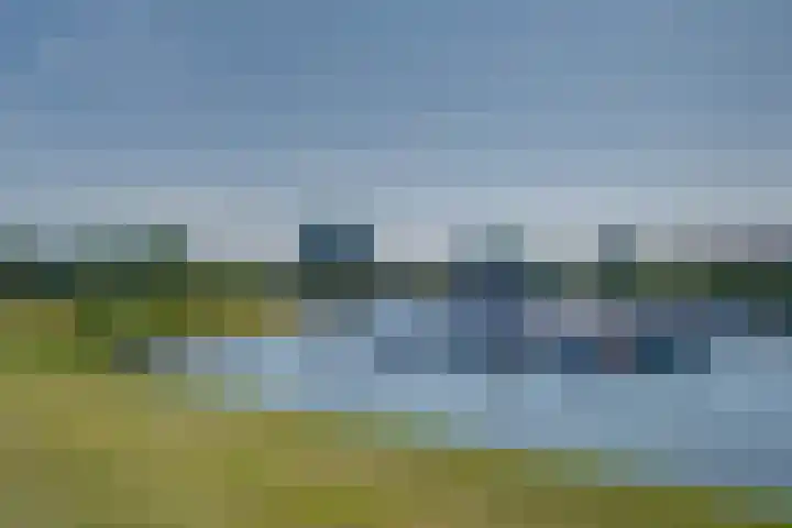 Blauwe Reiger 42 Lathum thumbnail 28