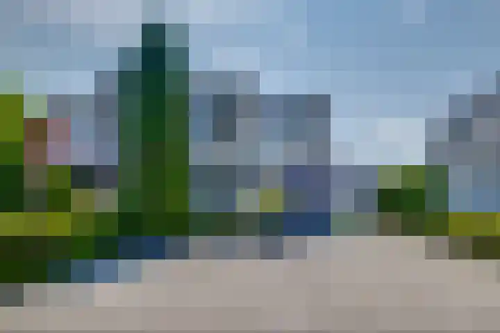 Blauwe Reiger 42 Lathum thumbnail 29