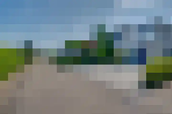 Blauwe Reiger 42 Lathum thumbnail 31