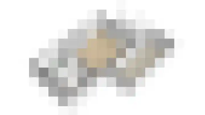 Blauwe Reiger 42 Lathum thumbnail 33