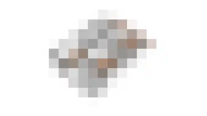 Blauwe Reiger 42 Lathum thumbnail 35