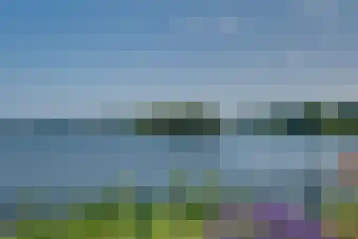 Blauwe Reiger 42 Lathum thumbnail 4