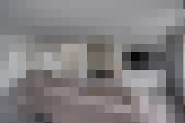 Blauwe Reiger 42 Lathum thumbnail 7