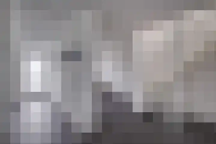 Blauwe Reiger 42 Lathum thumbnail 8