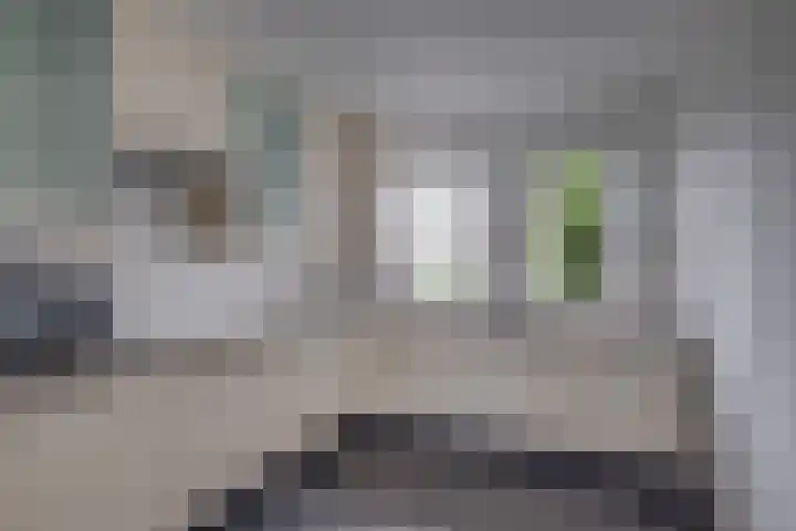 Blauwe Reiger 42 Lathum thumbnail 9