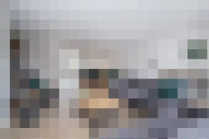 Blauwe Reiger 43 Hoogkarspel thumbnail 10