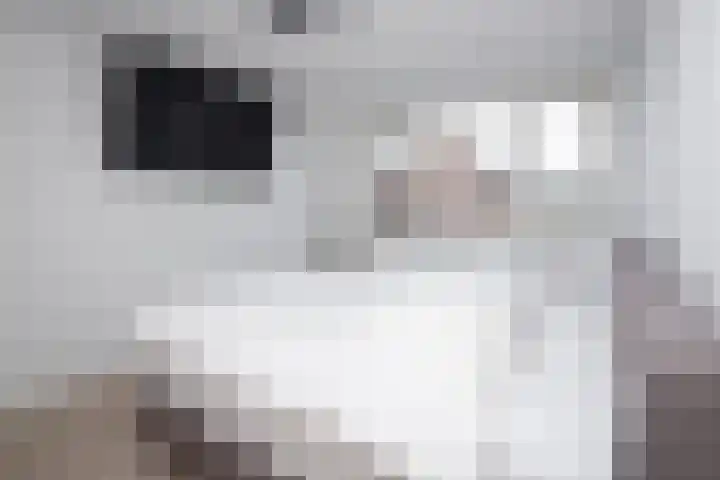Blauwe Reiger 43 Hoogkarspel thumbnail 15