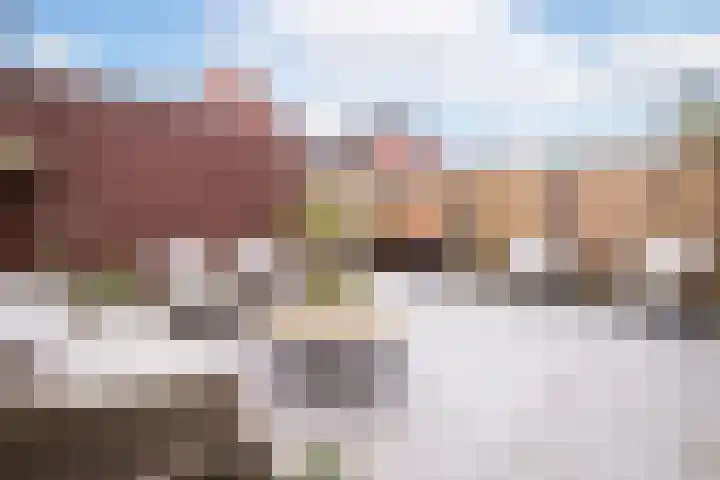 Blauwe Reiger 43 Hoogkarspel thumbnail 33