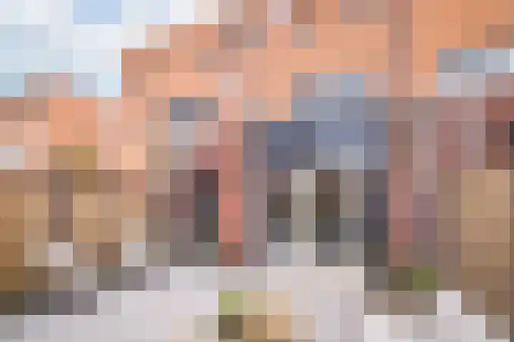 Blauwe Reiger 43 Hoogkarspel thumbnail 35
