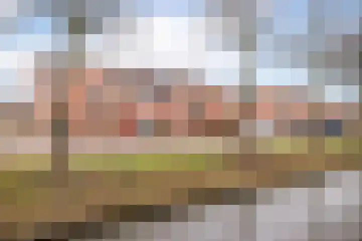 Blauwe Reiger 43 Hoogkarspel thumbnail 37