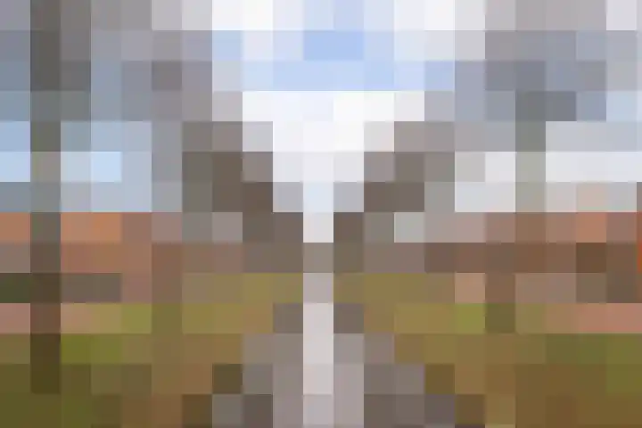 Blauwe Reiger 43 Hoogkarspel thumbnail 38