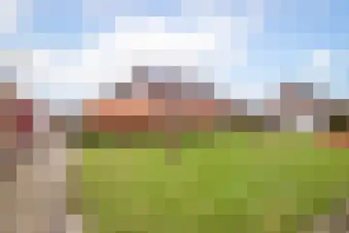 Blauwe Reiger 43 Hoogkarspel thumbnail 39