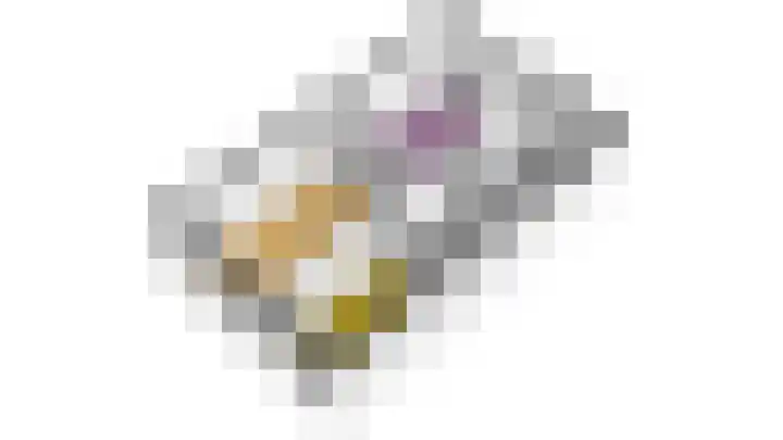 Blauwe Reiger 43 Hoogkarspel thumbnail 57