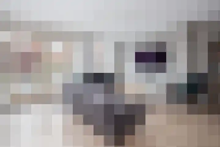 Blauwe Reiger 43 Hoogkarspel thumbnail 9