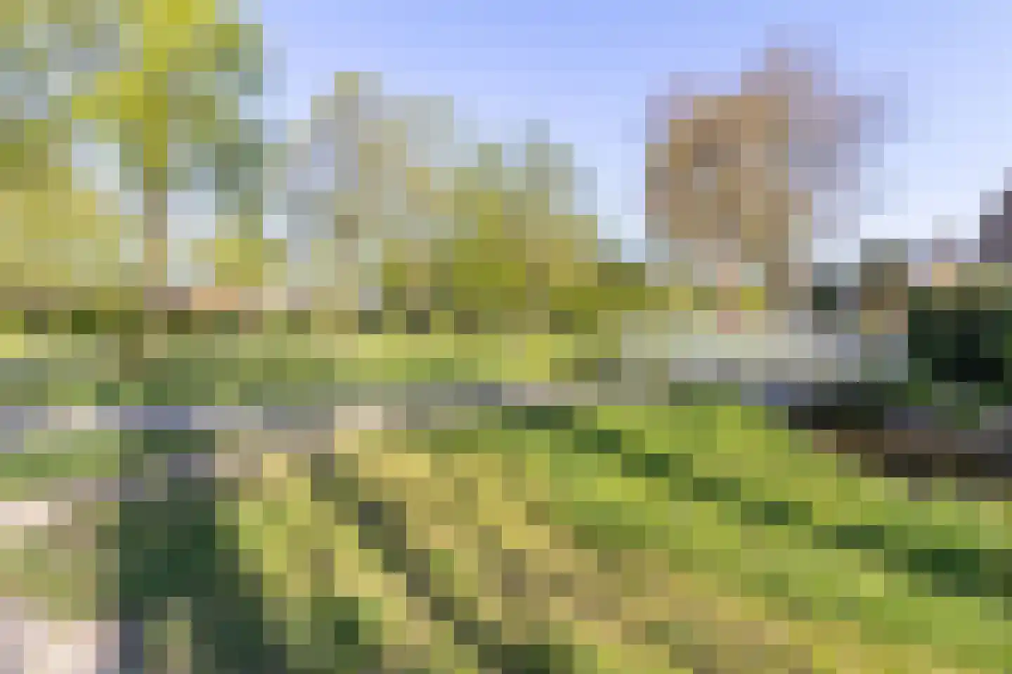 Blauwe Reiger 49 Bunschoten-Spakenburg thumbnail 32