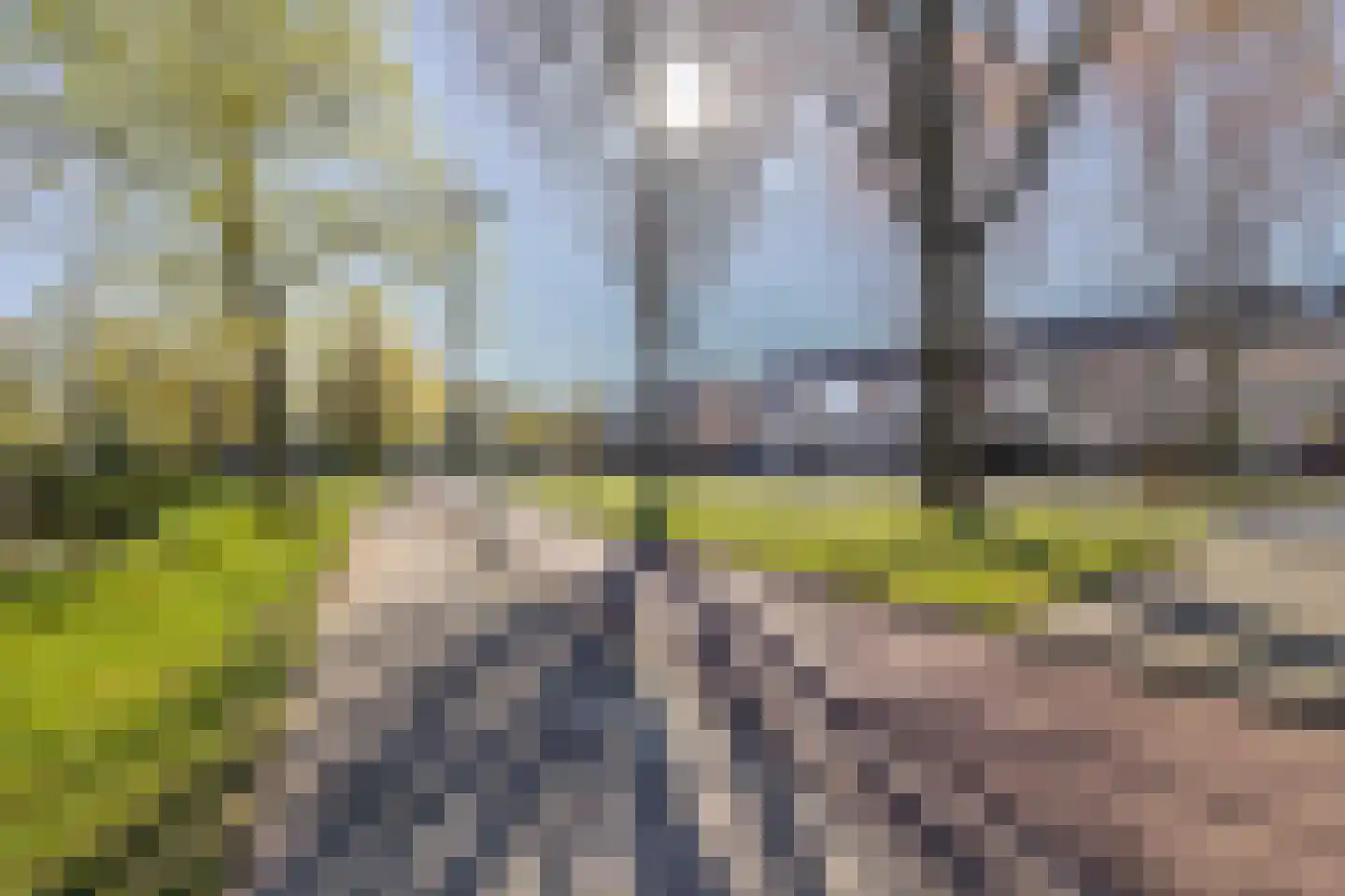 Blauwe Reiger 49 Bunschoten-Spakenburg thumbnail 34