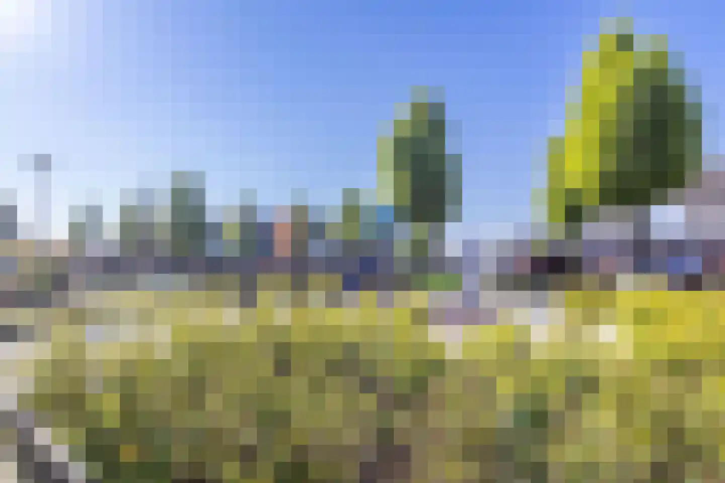 Blauwe Reiger 49 Bunschoten-Spakenburg thumbnail 35