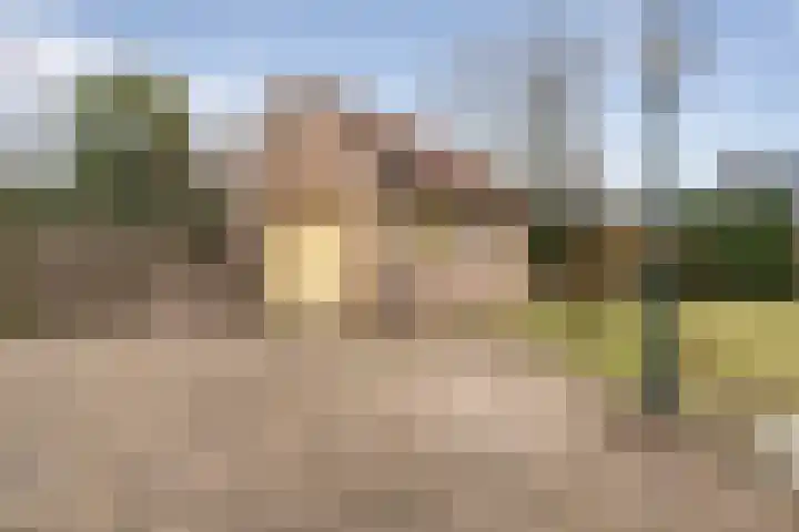 Blauwe Reiger 6 Etten-Leur thumbnail 30