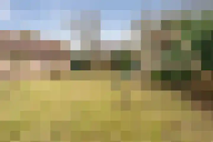 Blauwe Reiger 6 Etten-Leur thumbnail 32