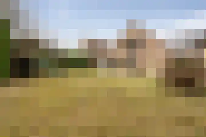 Blauwe Reiger 6 Etten-Leur thumbnail 33