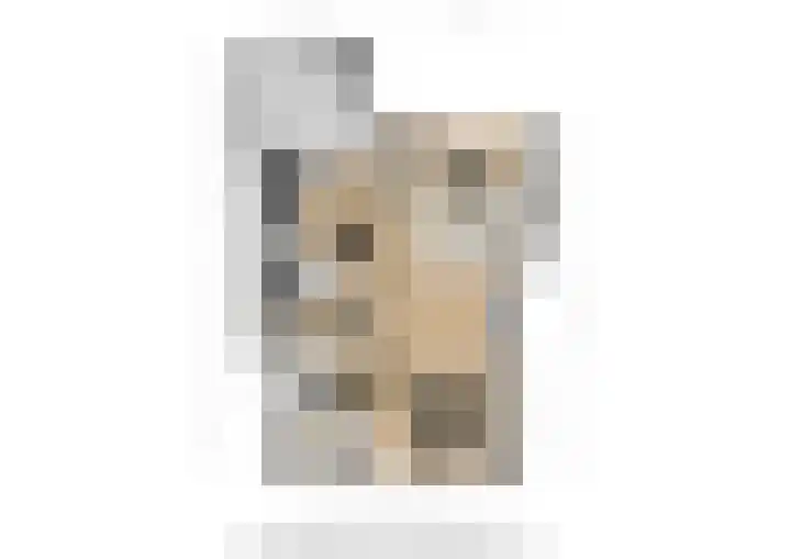 Blauwe Reiger 6 Etten-Leur thumbnail 38