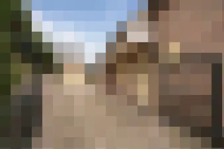 Blauwe Reiger 6 Etten-Leur thumbnail 4