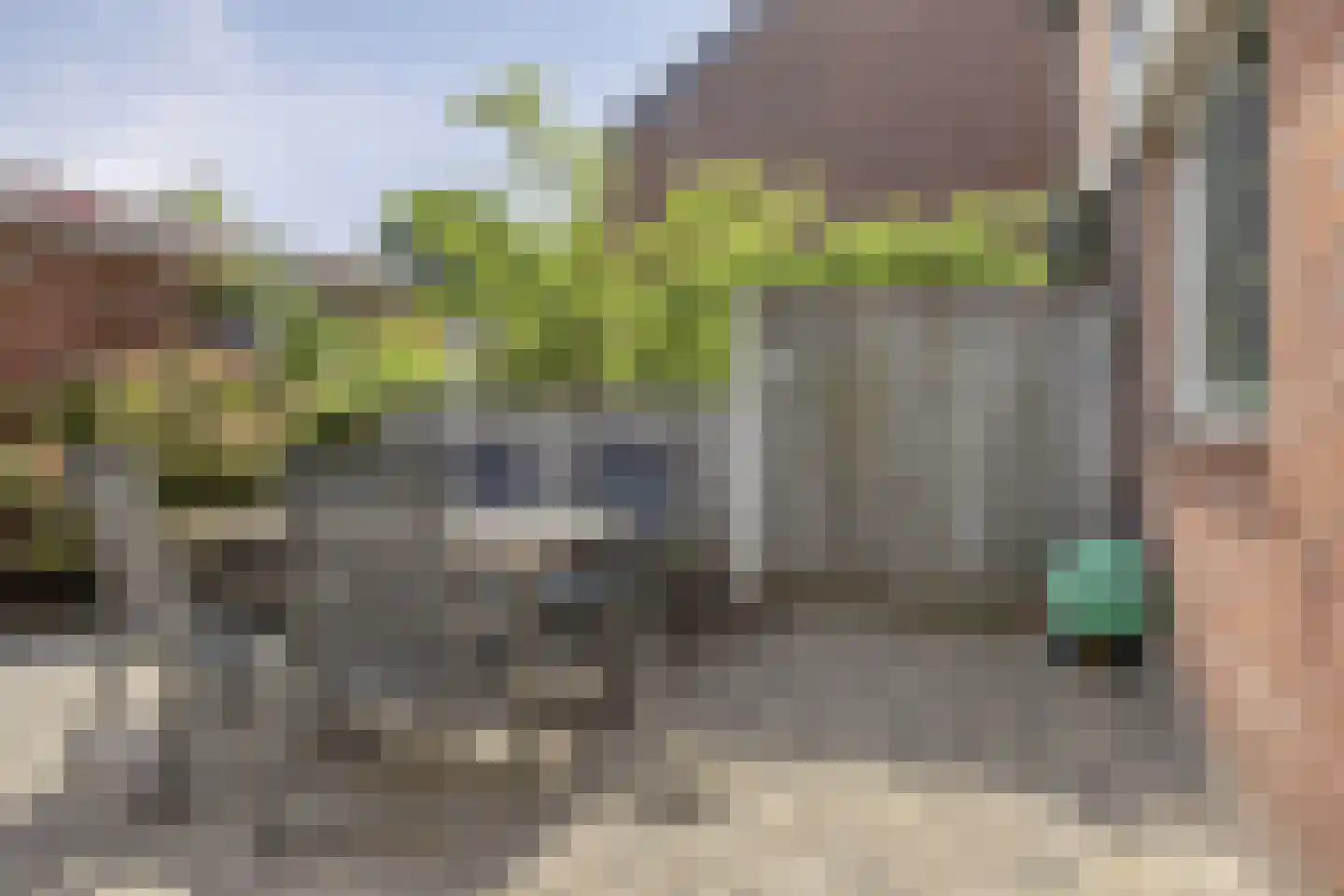 Blauwe Reiger 9 Rozenburg thumbnail 32