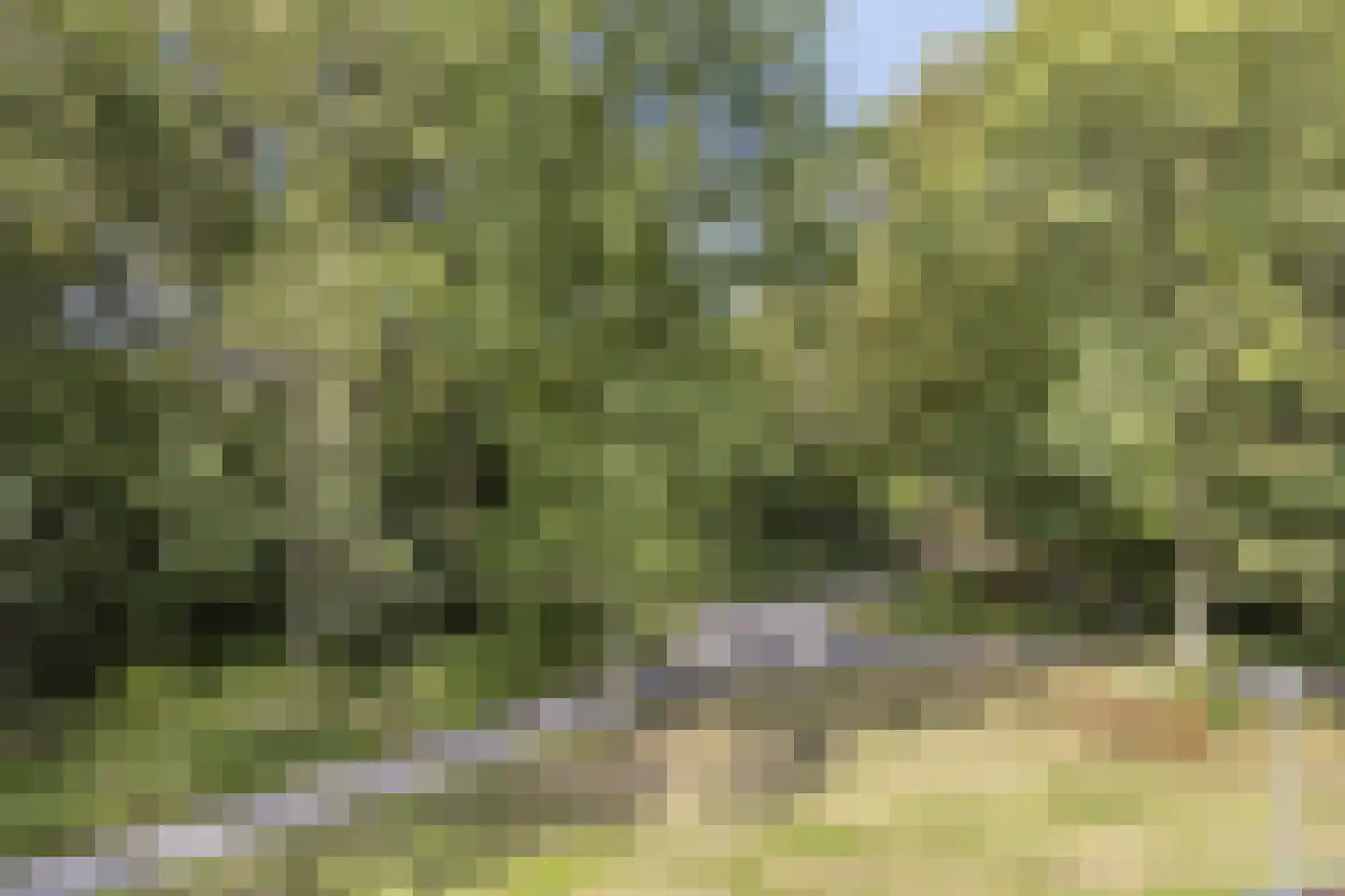Blauwe Reiger 9 Rozenburg thumbnail 34