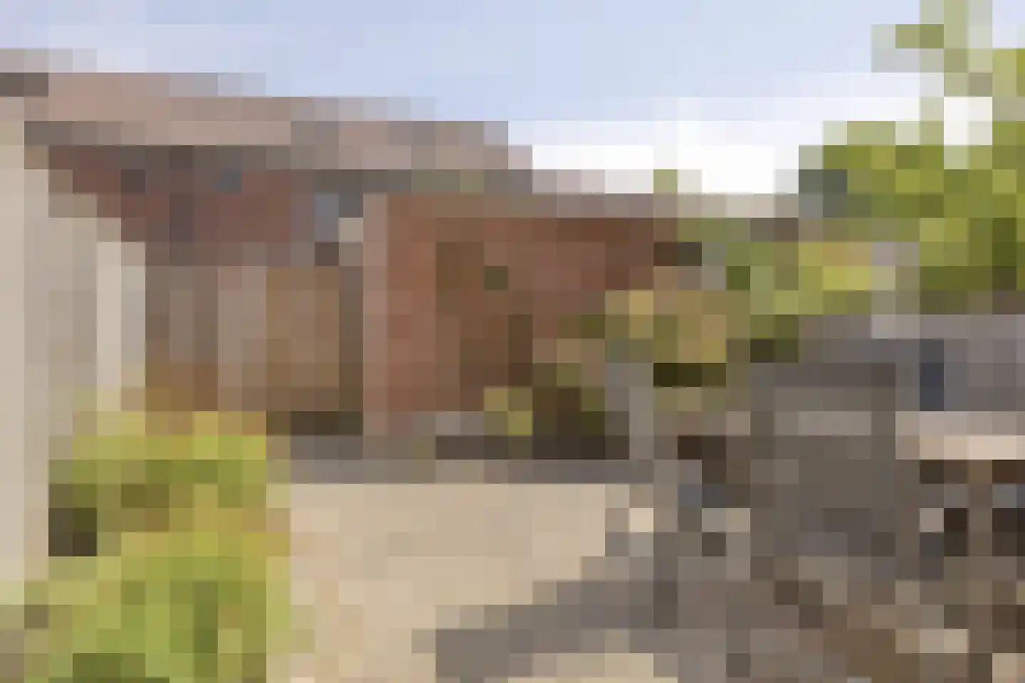 Blauwe Reiger 9 Rozenburg thumbnail 5