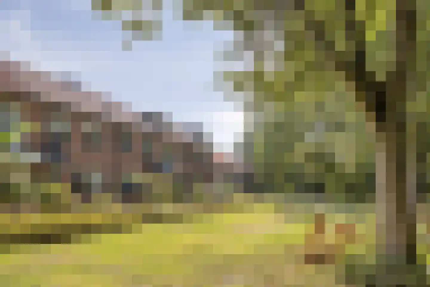 Blauwe Reiger 9 Rozenburg thumbnail 6