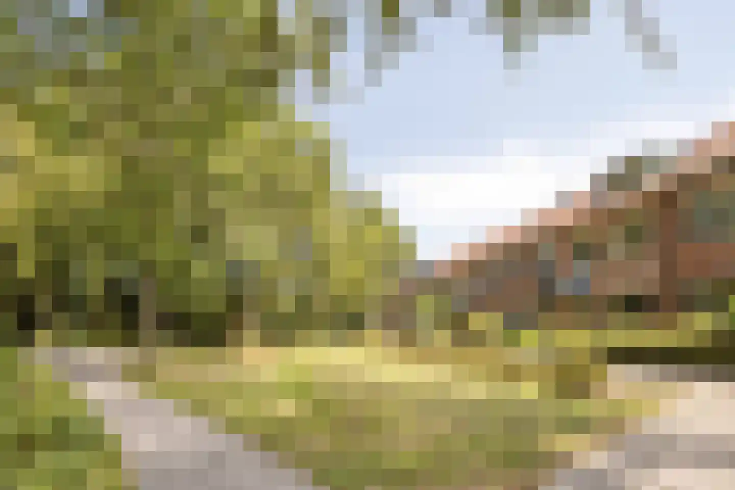 Blauwe Reiger 9 Rozenburg thumbnail 7