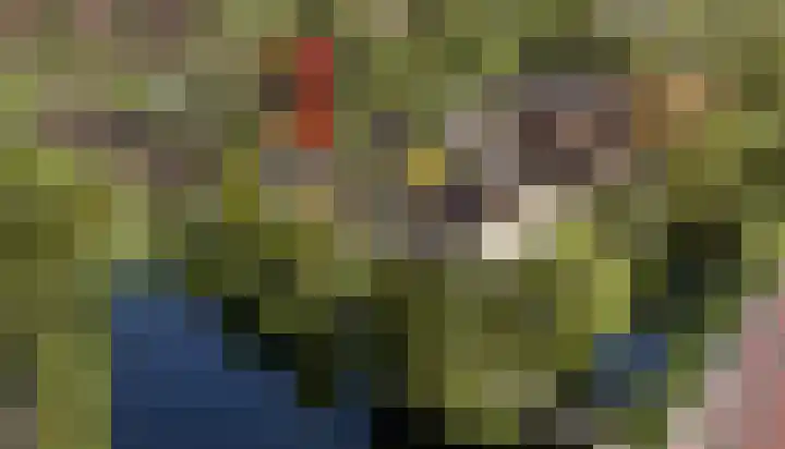 Blauwe Reigerpad 23 Aalsmeer thumbnail 4