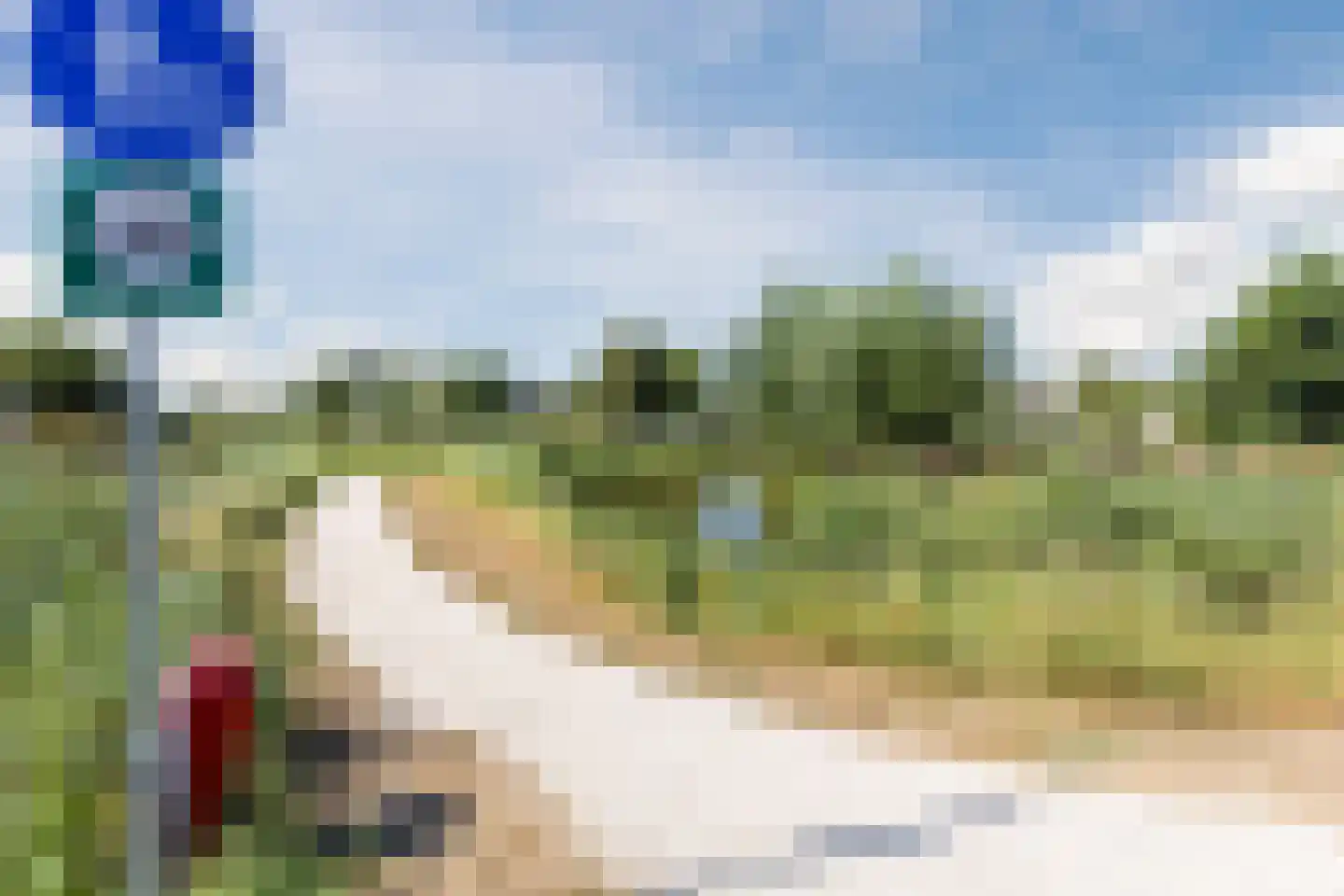 Blauwe Ring 127 Assendelft thumbnail 51