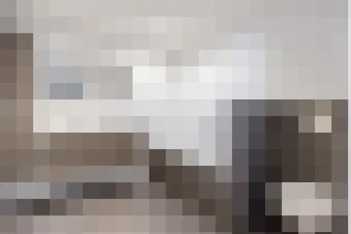 Blauwe Ring 75 Assendelft thumbnail 15