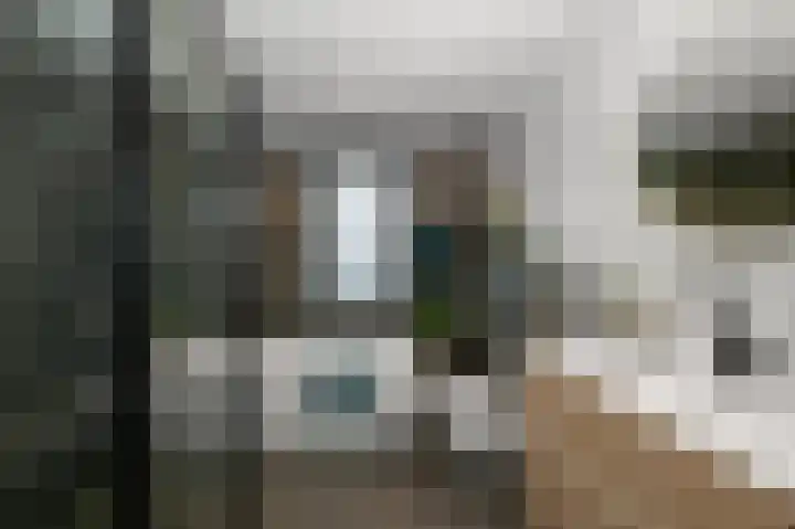 Blauwe Ring 75 Assendelft thumbnail 16